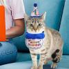 Monozoz Cat Birthday Costume view 3