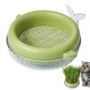 Tuxxjzm Hydroponic Cat Grass Planter view 1