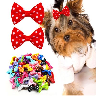 20 Pack Large Dog Bows