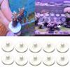 BEBIKR 10 Pack Coral Frag Plugs view 2
