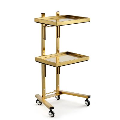 LBLFEBD 2-Tier Metal Rolling Cart with Stainless Steel Tray