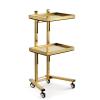 LBLFEBD 2-Tier Metal Rolling Cart with Stainless Steel Tray view 1