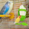 Cuttlebone Holder for Bird Cages view 2