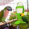 Cuttlebone Holder for Bird Cages view 3