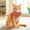 Cooling Collar for Pets view 2