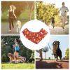 Cooling Collar for Pets view 4