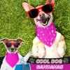 Abbylike 20-Pack Blank Dog Bandanas, Solid-Color Triangle Bibs for DIY Designs view 2