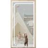 Pet-Safe Cat Screen Door with Zipper, 110 x 220 cm, White view 1