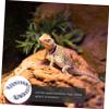 Milisten Parrot Rope Swing 60cm view 2