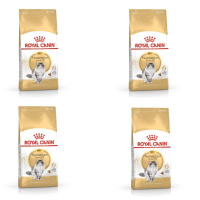 Royal Canin Norwegian Forest Cat Adult | 4 Pack | 4 x 400 g