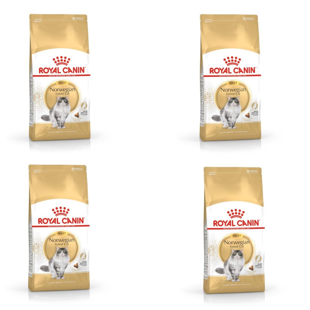 Royal Canin Norwegian Forest Cat Adult | 4 Pack | 4 x 400 g