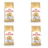 Royal Canin Norwegian Forest Cat Adult | 4 Pack | 4 x 400 g view 1