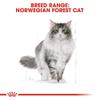 Royal Canin Norwegian Forest Cat Adult | 4 Pack | 4 x 400 g view 4