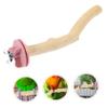 Happyyami Bird Stand for Parrots, Multifunctional Perch for Claw Care and Entertainment view 4