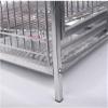 Parrot and Budgie Travel Cage, Stainless Steel view 3