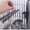 Parrot and Budgie Travel Cage, Stainless Steel view 4