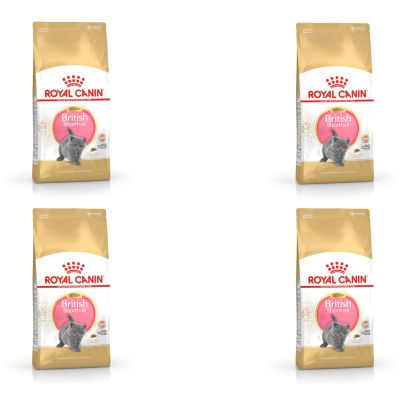 Royal Canin British Shorthair Kitten, 4-Pack, 4 x 400 g, Complete Feed, Up to 12 Months