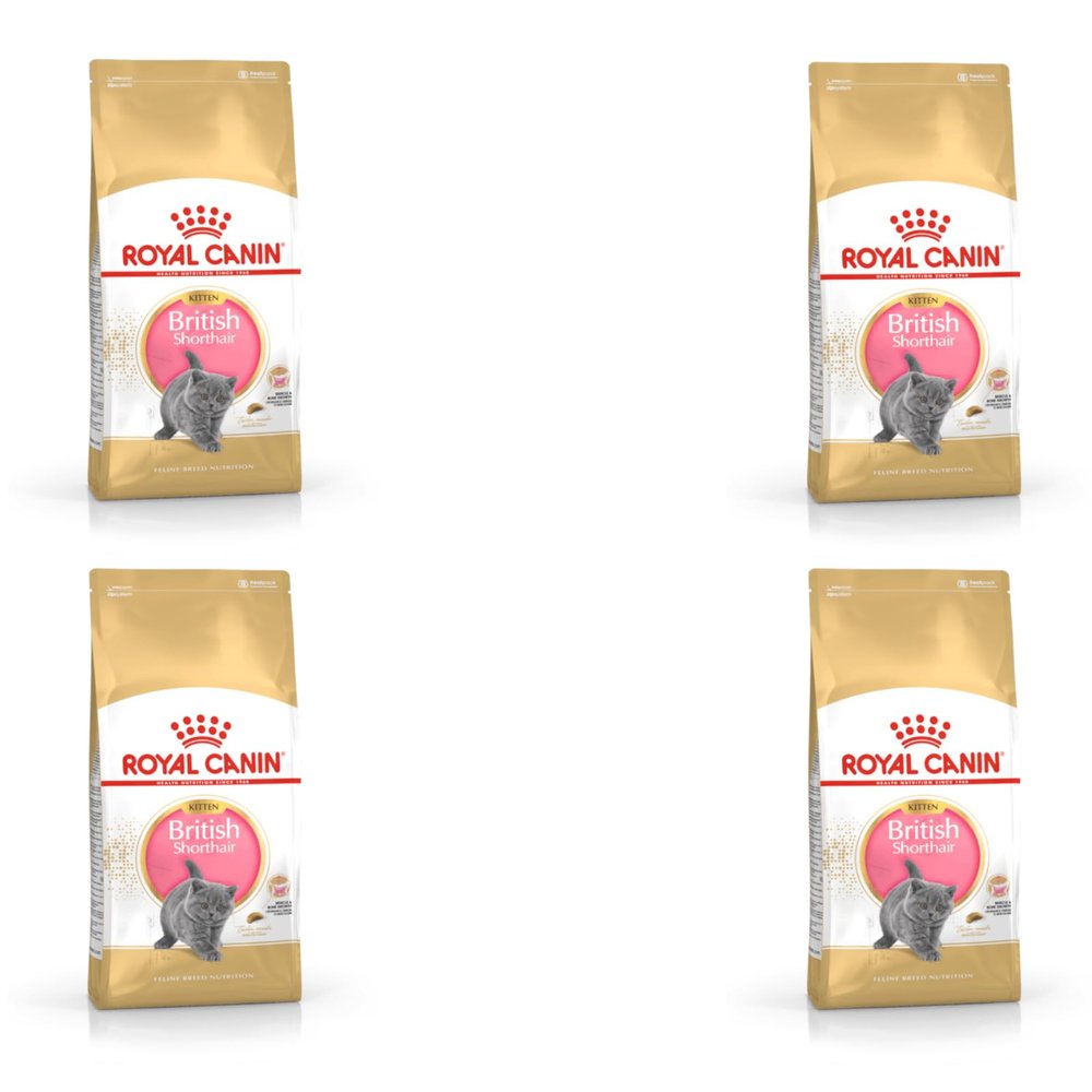 Royal Canin British Shorthair Kitten, 4-Pack, 4 x 400 g, Complete Feed, Up to 12 Months