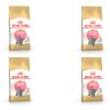 Royal Canin British Shorthair Kitten, 4-Pack, 4 x 400 g, Complete Feed, Up to 12 Months view 1