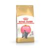 Royal Canin British Shorthair Kitten, 4-Pack, 4 x 400 g, Complete Feed, Up to 12 Months view 2