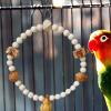 Bird Swing for Parakeets view 2