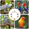 Bird Swing for Parakeets view 3