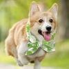 Cooling Collar for Dogs view 3
