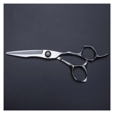 TFYSFSHN 6-Inch Silver Hairdressing Scissors