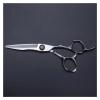 TFYSFSHN 6-Inch Silver Hairdressing Scissors view 1