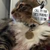 Funny Personalized Stainless Steel Dog Tag, "I Fucked Around (MOM)" view 2
