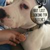 Funny Personalized Stainless Steel Dog Tag, "I Fucked Around (MOM)" view 3