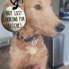 Funny Personalized Stainless Steel Dog Tag, "I Fucked Around (MOM)" view 4