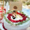 Resin Graduation Cake Topper Keepsake view 3