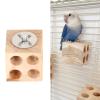 Pongnas Wooden Parrot Chewing Toy view 4