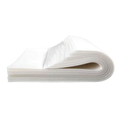 Fubdnefvo Disposable Pet Paper, Dog Pad, Absorbent Diaper, Deodorizing, Pet & Cat Training Toilet Accessory, 25 x 30 cm