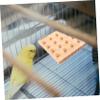 Sosoport Wooden Parrot Platform view 2