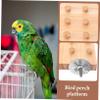 Sosoport Wooden Parrot Platform view 4
