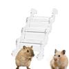 Hamster Climbing Ramp view 1
