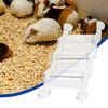 Hamster Climbing Ramp view 3