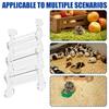 Hamster Climbing Ramp view 4