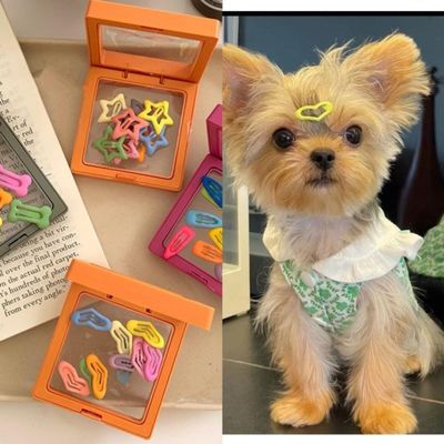 10 x Small Dog Pony Hair Clips
