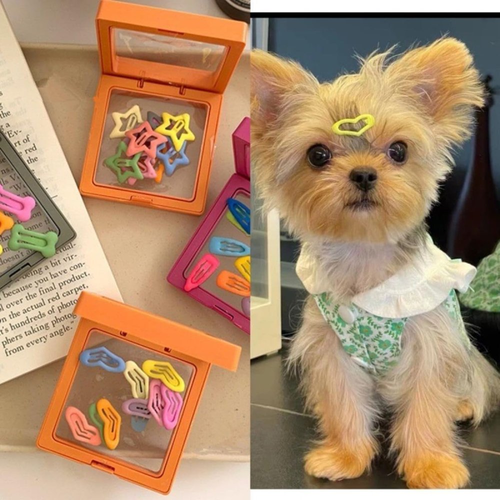 10 x Small Dog Pony Hair Clips