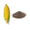 Pinole with Chia for Ultra-Trail Runners from Mexico, 800 g view 2