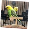 Parrot Play Stand for Training and Play, Khaki view 4
