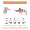Obstacle-Avoidance Bumper Ring for Blind Dogs view 2