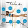 ZYJIX Adjustable Home Dance Pole, Static and Spinning, Black view 2