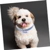 INOOMP Rhinestone Dog Collar for Stylish Pets view 3