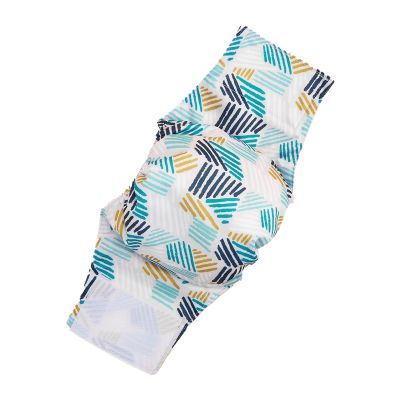 Reusable Dog Diapers for Small Dogs
