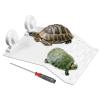 Turtle Sun Platforms view 1