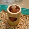 Hamster Tunnel Tube with 3 Holes - Bamboo Activity Center view 3